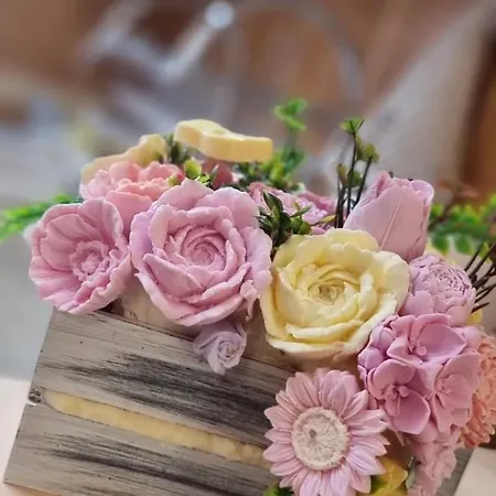 Aleksa * סובוטיקה