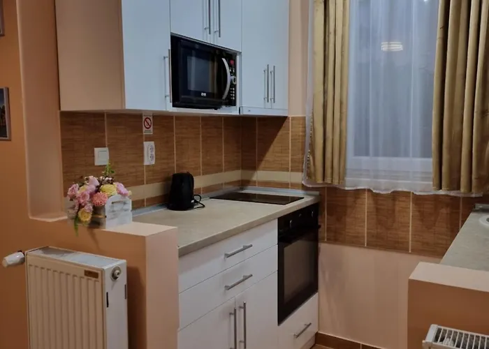 アパート Aleksa スボティツァ