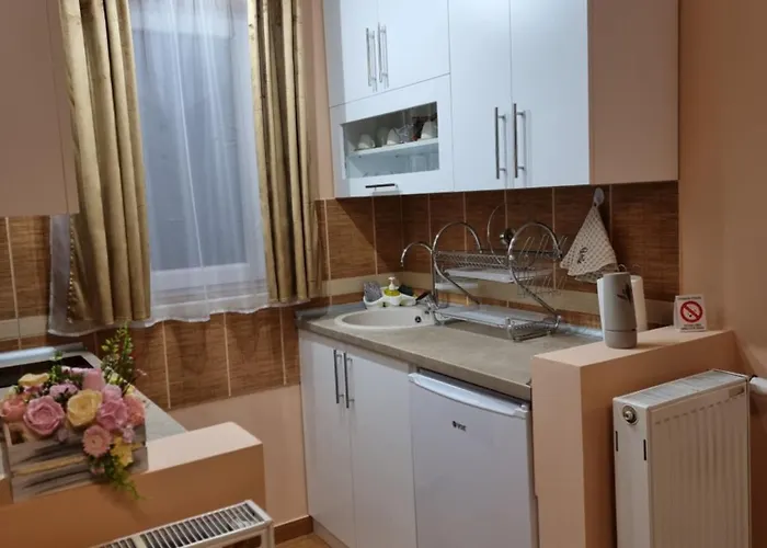 Aleksa アパート *