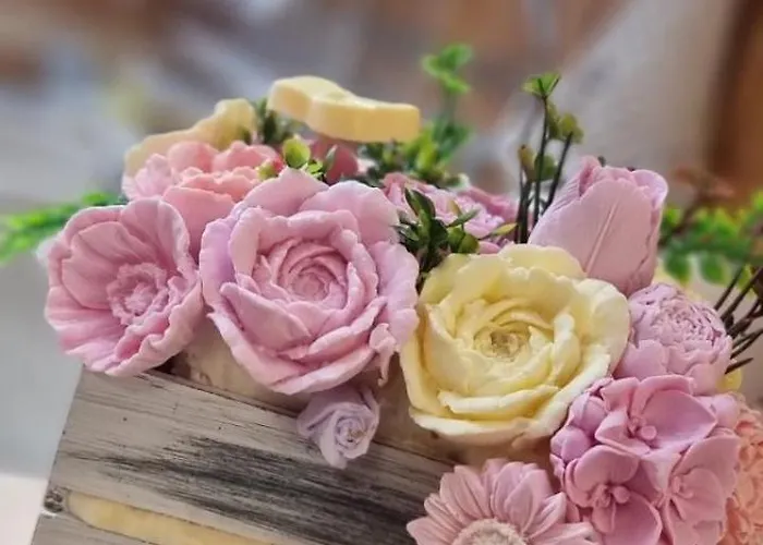 Aleksa * スボティツァ