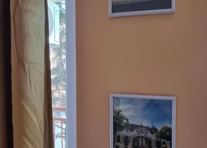 Aleksa アパート スボティツァ